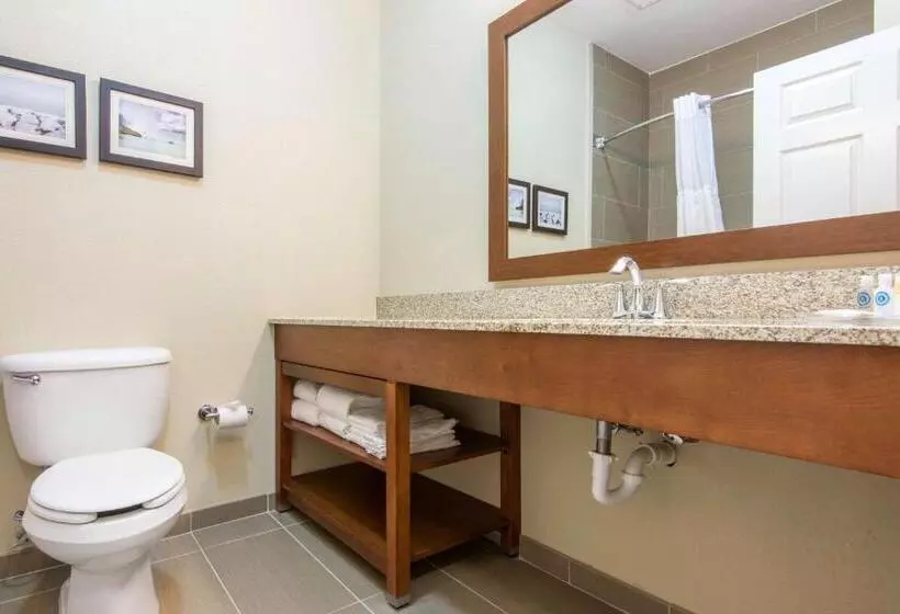 Sviitti King-vuode, Comfort Suites Rochester Henrietta University Area