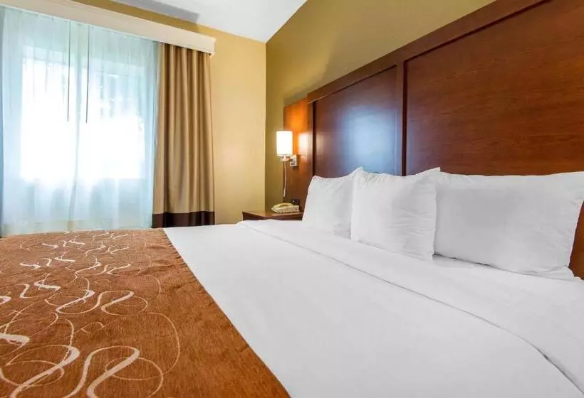 Sviitti King-vuode, Comfort Suites Rochester Henrietta University Area