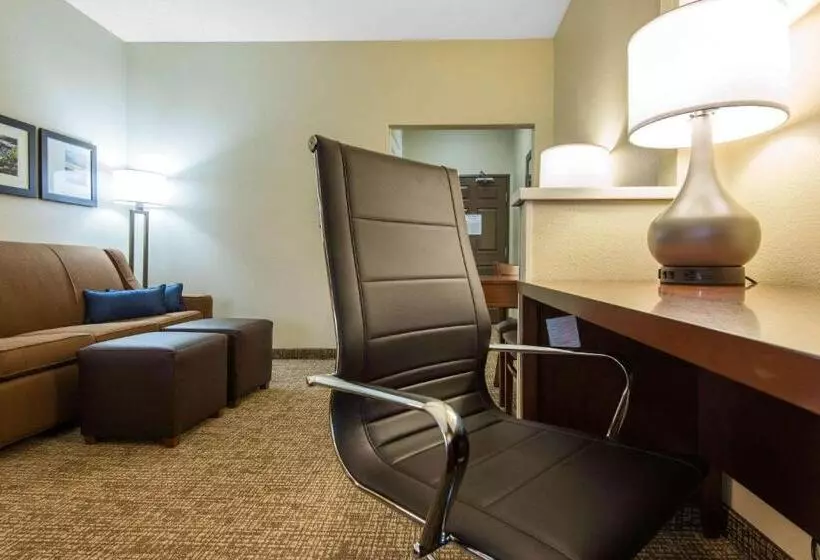 Sviitti King-vuode, Comfort Suites Rochester Henrietta University Area