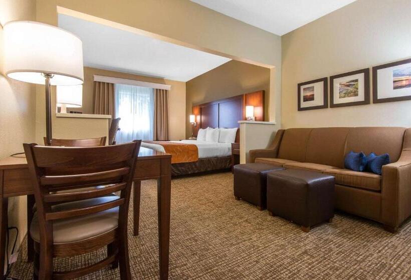 Люкс Кровать Кинг, Comfort Suites Rochester Henrietta University Area