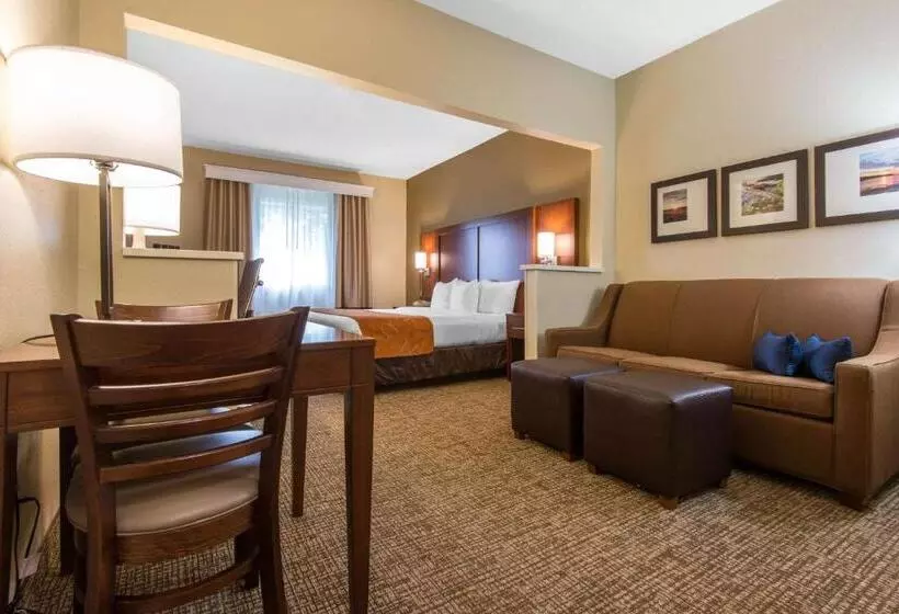 Sviitti King-vuode, Comfort Suites Rochester Henrietta University Area
