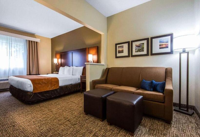 キングサイズベッドのスイートルーム, Comfort Suites Rochester Henrietta University Area