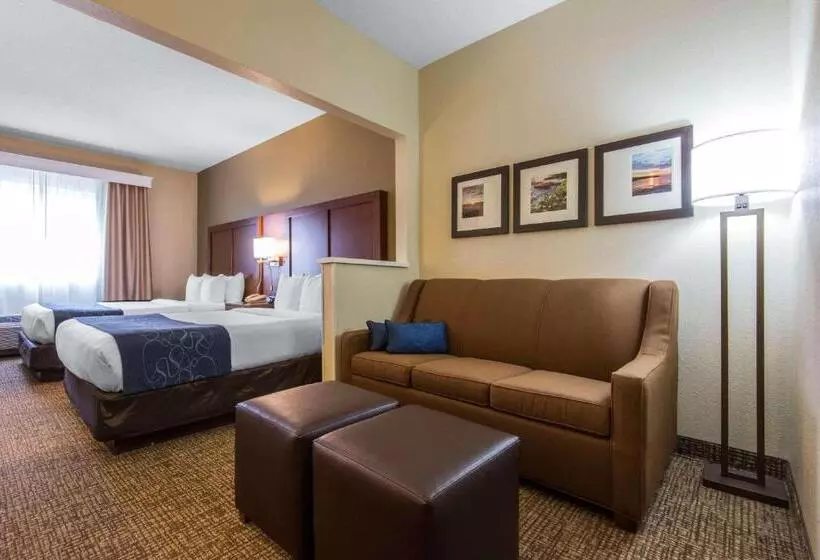 Sviitti, Comfort Suites Rochester Henrietta University Area