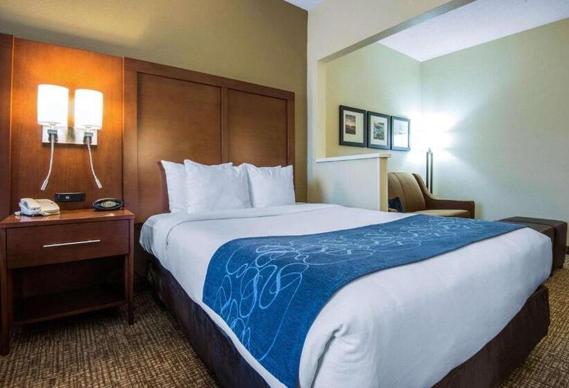 Люкс, Comfort Suites Rochester Henrietta University Area