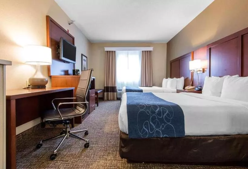Sviitti Liikuntarajoitteisille, Comfort Suites Rochester Henrietta University Area