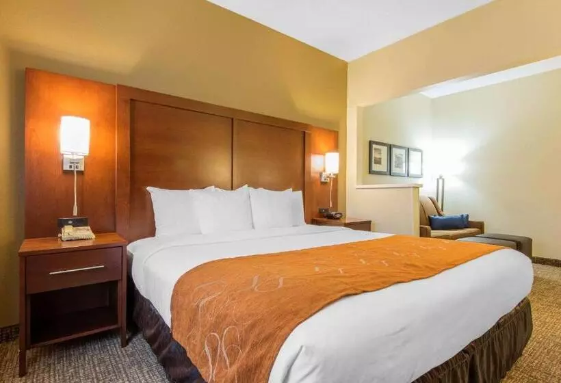 Sviitti Liikuntarajoitteisille, Comfort Suites Rochester Henrietta University Area