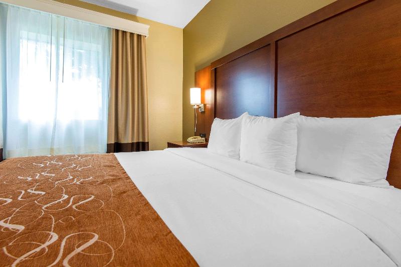 キングサイズベッドのスイートルーム, Comfort Suites Rochester Henrietta University Area