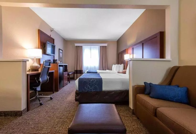 Sviitti Liikuntarajoitteisille, Comfort Suites Rochester Henrietta University Area
