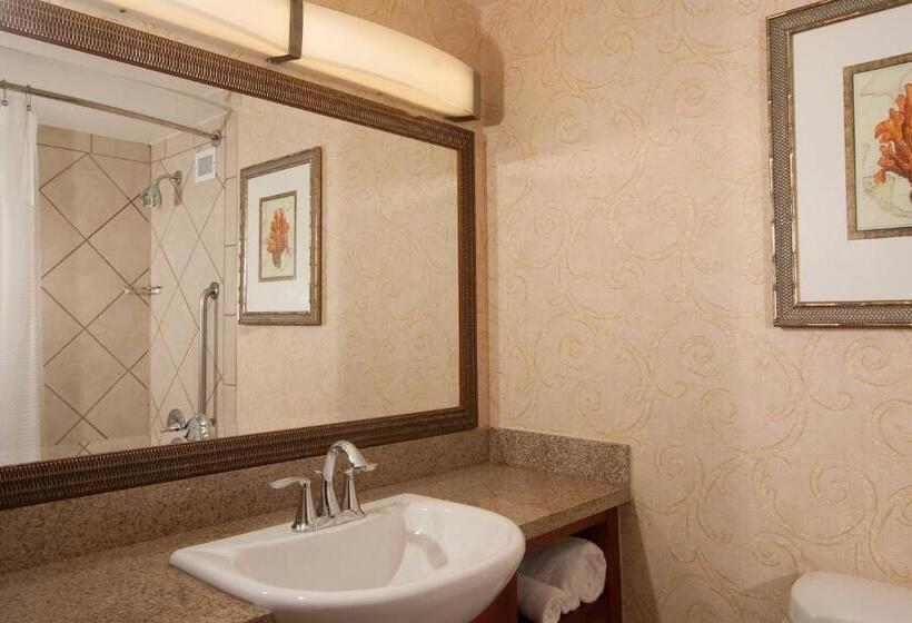 חדר סטנדרט עם מיטת קינג, Courtyard Miami Coral Gables