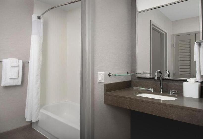 חדר סטנדרט, מיטת קווין, מותאם לאדם עם מוגבלויות, Courtyard By Marriott Savannah Downtown   Historic District