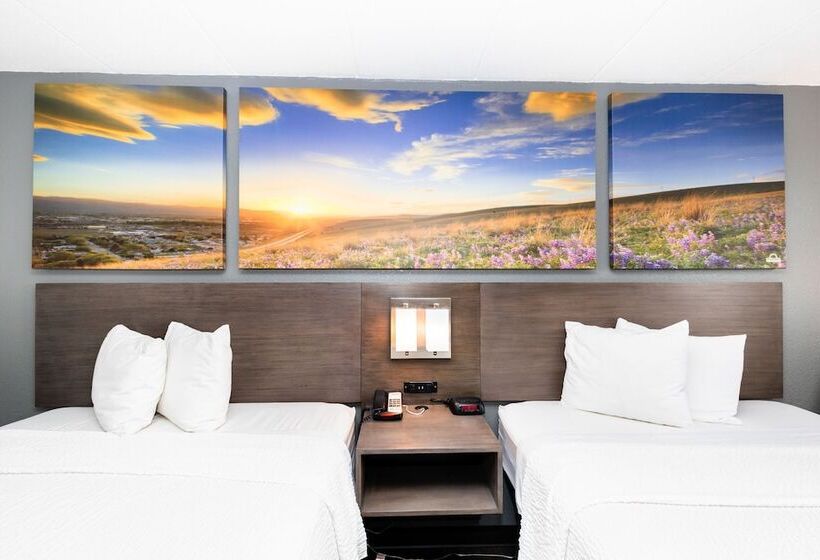 غرفه قياسيه سريرين مزدوجين, Days Inn By Wyndham Sharonville