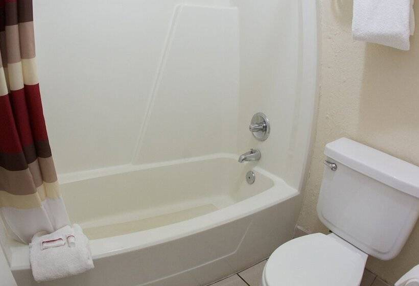 デラックスルーム, Red Roof Inn Seattle Airport  Seatac