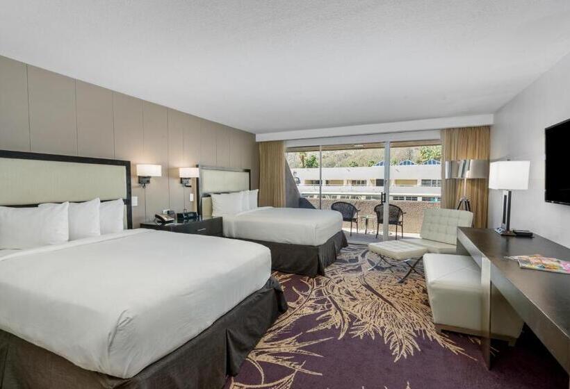 اتاق لوکس, Zoso