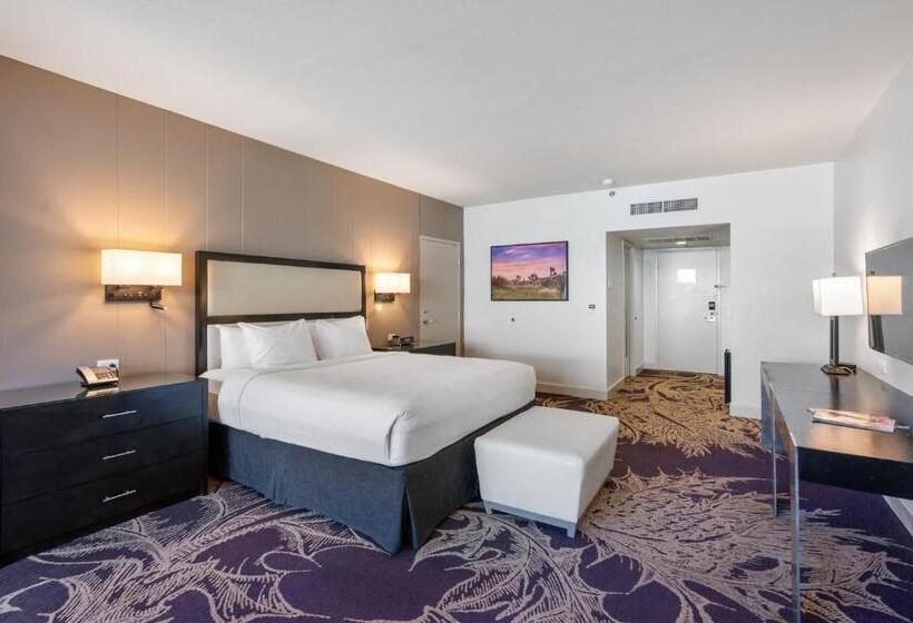 اتاق استاندارد با تخت بزرگ, Zoso