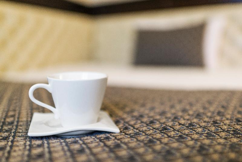 اتاق استاندارد یک نفره, Congress