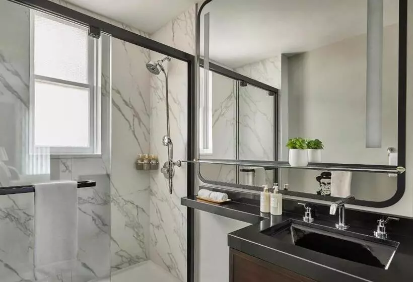 اتاق دلوکس مخصوص معلولین, Emblem San Francisco