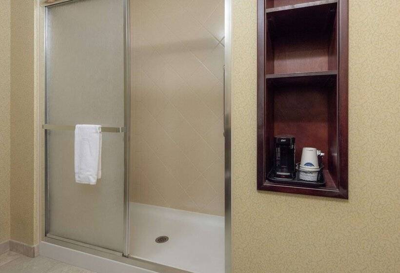 Номер Executive, Hampton Inn & Suites Vicksburg