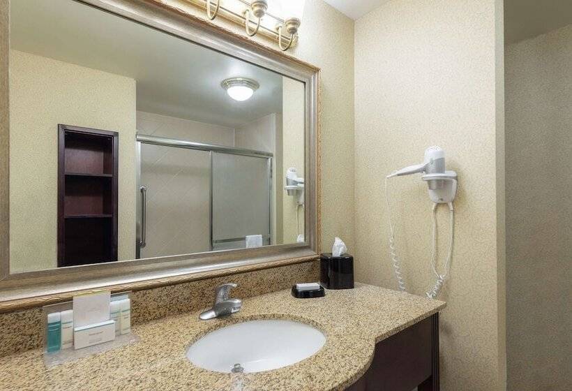 اتاق اجرایی, Hampton Inn & Suites Vicksburg