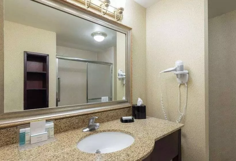 エクゼクティブルーム, Hampton Inn & Suites Vicksburg