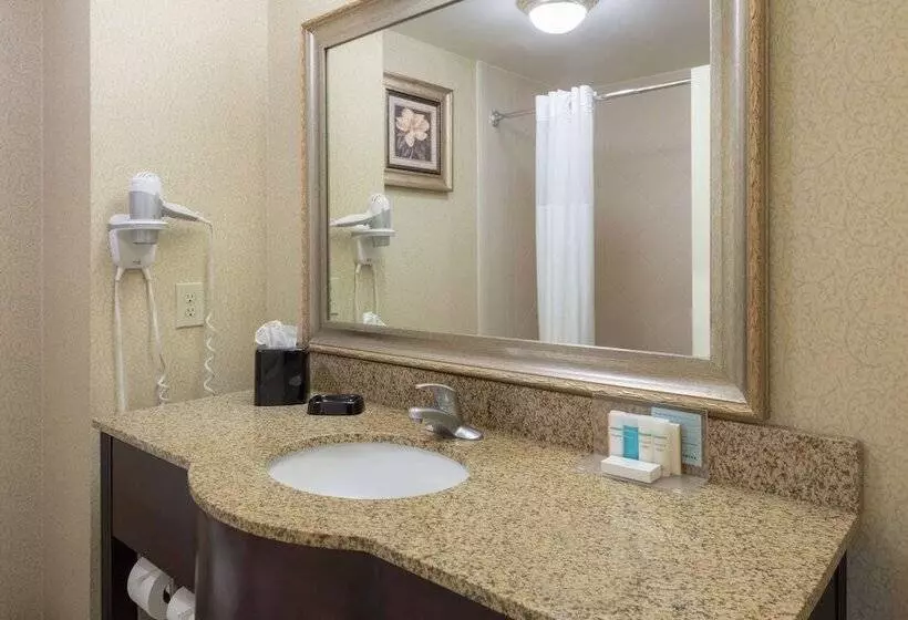 エクゼクティブワンルーム, Hampton Inn & Suites Vicksburg