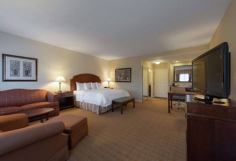 Студио Executive, Hampton Inn & Suites Vicksburg