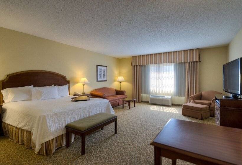 Студио Executive, Hampton Inn & Suites Vicksburg