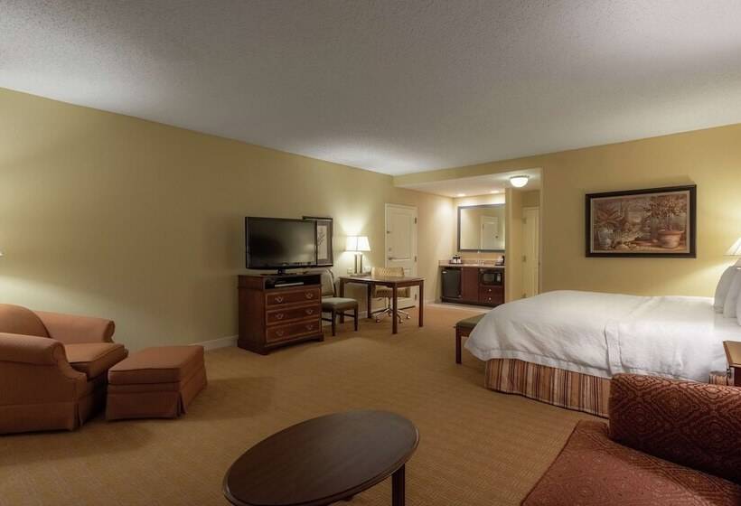 Студио Executive, Hampton Inn & Suites Vicksburg