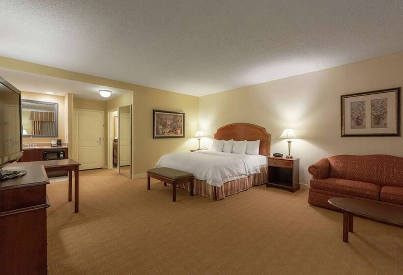 Студио Executive, Hampton Inn & Suites Vicksburg