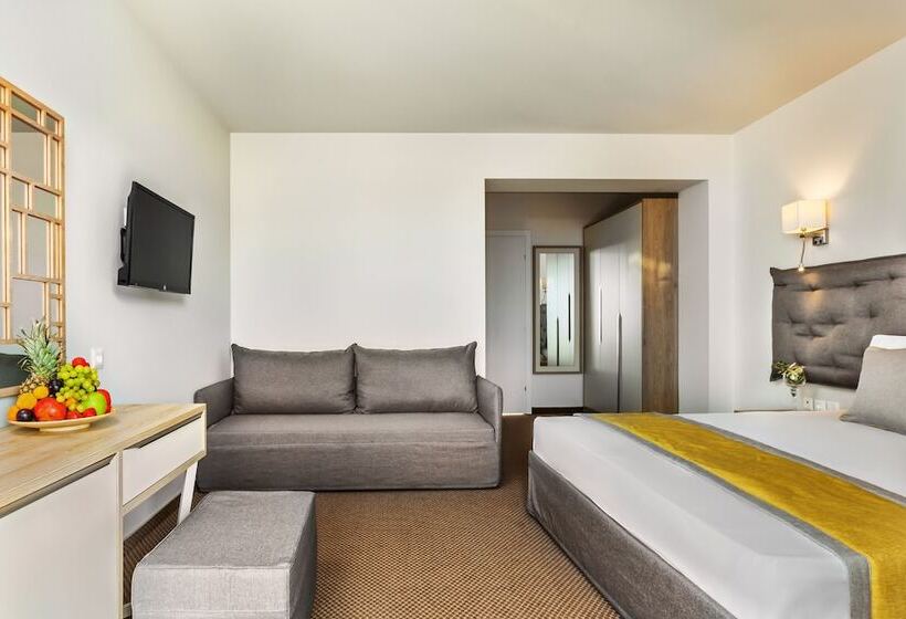 수피리어 룸, Kriopigi