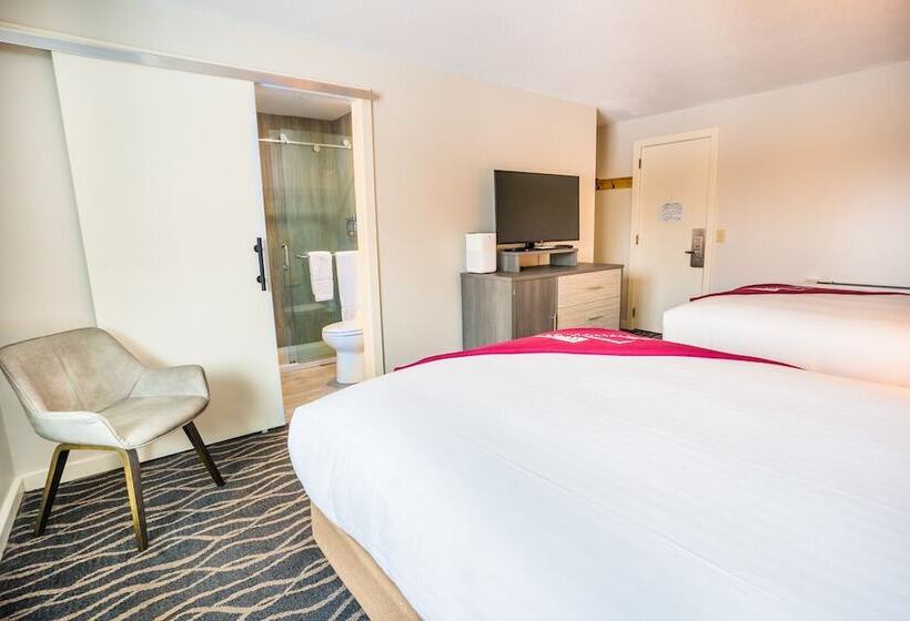 اتاق سوپریور با چشمانداز کوهستان, Mountain Inn At Killington