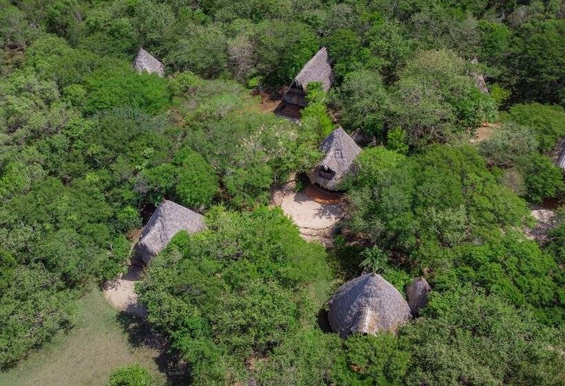 بانگلوی استاندارد 2 خوابه, Punta Teonoste