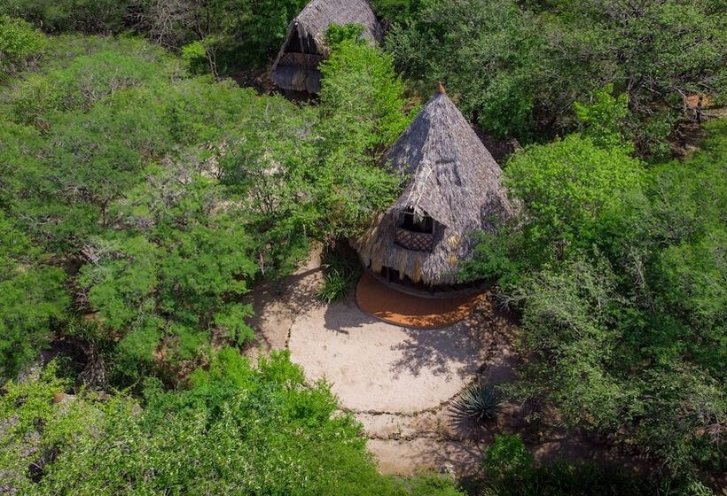 بانگلوی استاندارد 2 خوابه, Punta Teonoste