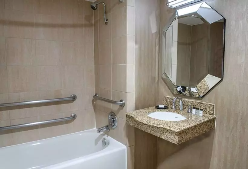 ダブルベッドスタンダードルーム, Sheraton Mission Valley San Diego