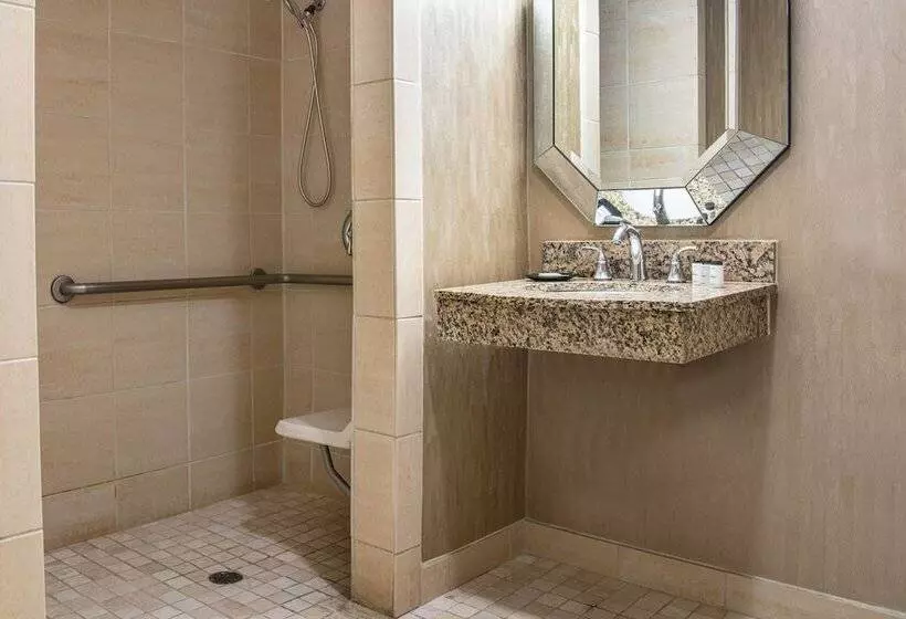 ダブルベッドスタンダードルーム, Sheraton Mission Valley San Diego