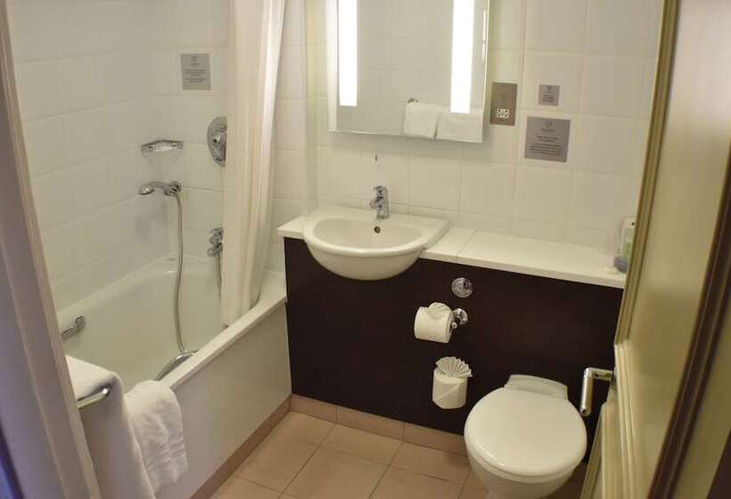 Camera Standard, The Dragon