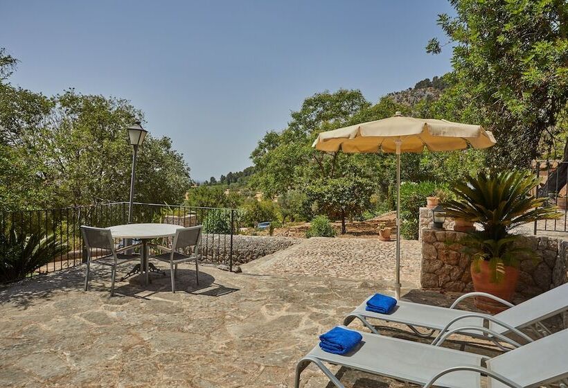 수피리어 테라스 룸, Agroturismo Alqueria Blanca
