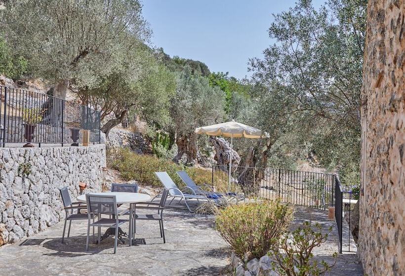 Номер Superior с Террасой, Agroturismo Alqueria Blanca