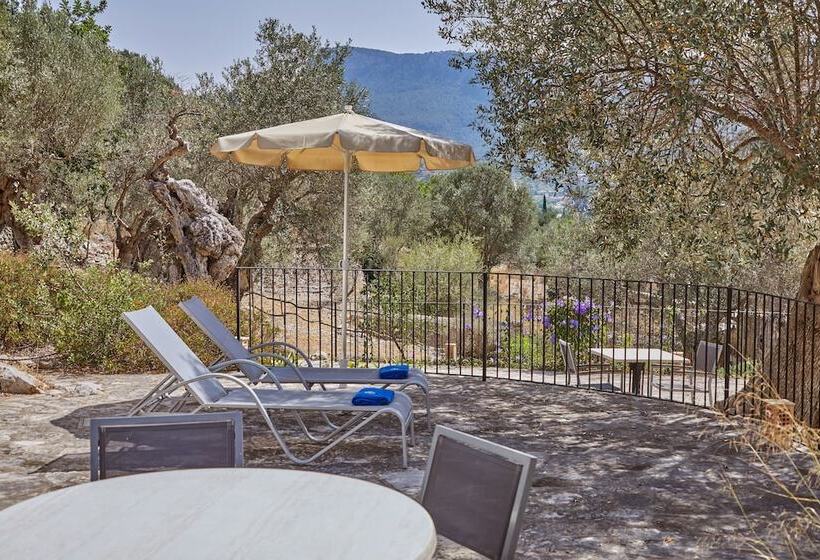 Номер Superior с Террасой, Agroturismo Alqueria Blanca