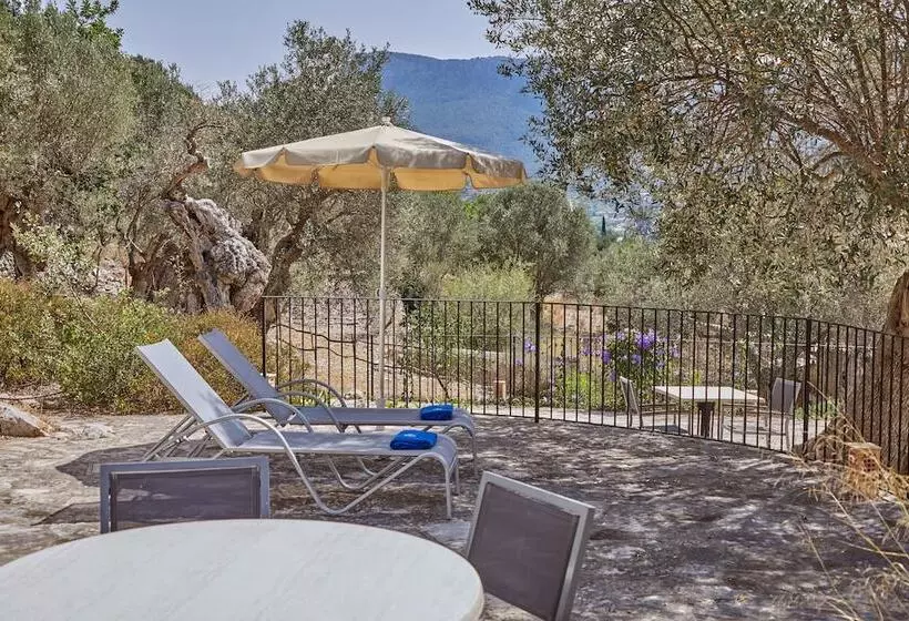 Superior Room with Terrace, Agroturismo Alqueria Blanca