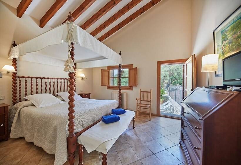 수피리어 테라스 룸, Agroturismo Alqueria Blanca