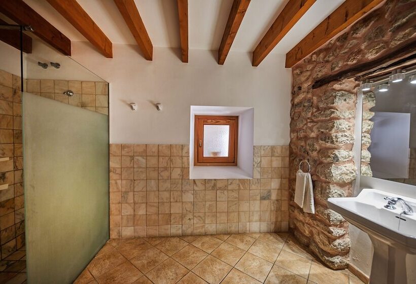 Номер Superior с Террасой, Agroturismo Alqueria Blanca