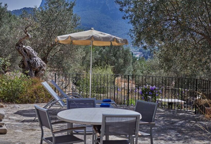 Номер Superior с Террасой, Agroturismo Alqueria Blanca