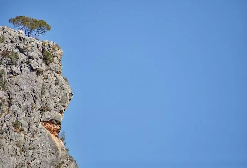 اتاق سوپریور, Agroturismo Alqueria Blanca