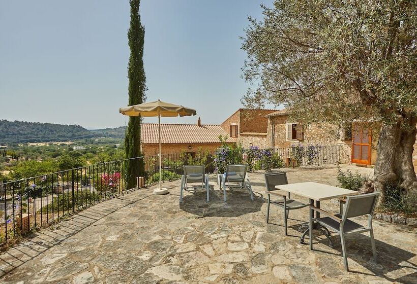 Номер Superior с Террасой, Agroturismo Alqueria Blanca