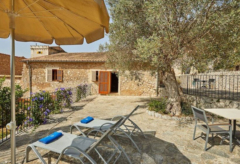 Номер Superior с Террасой, Agroturismo Alqueria Blanca