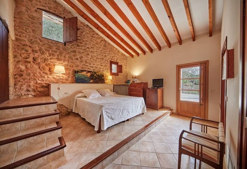 Номер Superior с Террасой, Agroturismo Alqueria Blanca