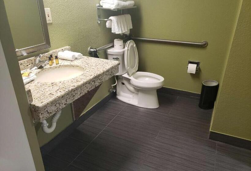 Номер Стандарт Кровать Кинг Адаптированный для Инвалидов, Best Western Plus Sanford Airport/lake Mary