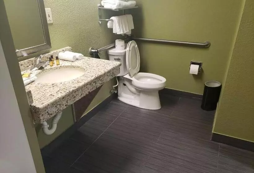 身障者適用キングサイズベッドルーム, Best Western Plus Sanford Airport/lake Mary