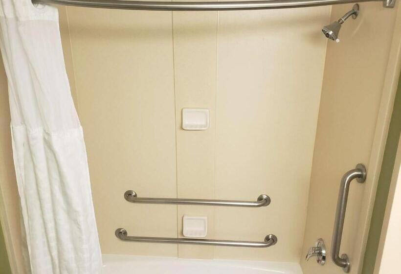 장애인을 위한 킹사이즈 침대 스탠다드 룸, Best Western Plus Sanford Airport/lake Mary