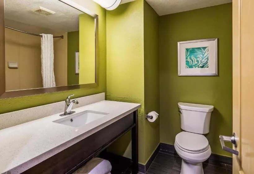 キングサイズベッドのスタンダードルーム, Best Western Plus Sanford Airport/lake Mary